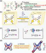 In Situ X-Ray Techniques Unraveling Charge Distribution Induced by Halogen Bonds in Solvates of an Iodo-Substituted Squaraine Dye