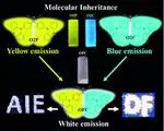 White-light emission strategy of a single organic compound with aggregation-induced emission and delayed fluorescence properties