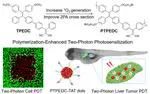 Polymerization-enhanced two-photon photosensitization for precise photodynamic therapy