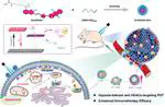 A Bioactive Photosensitizer for Hypoxia-Tolerant Molecular Targeting-Photo-Immunotherapy of Malignant Tumor