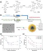 High-Resolution 3D NIR-II Photoacoustic Imaging of Cerebral and Tumor Vasculatures Using Conjugated Polymer Nanoparticles as Contrast Agent