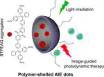 Far Red/Near-Infrared AIE Dots for Image-Guided Photodynamic Cancer Cell Ablation