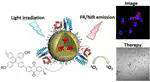A Photostable Far-Red/Near-Infrared Conjugated Polymer Photosensitizer with Aggregation-Induced Emission for Image-Guided Cancer Cell Ablation