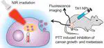 Organic Small Molecule Based Photothermal Agents with Molecular Rotors for Malignant Breast Cancer Therapy