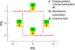 Charge-Gradient-Induced Ferroelectricity with Robust Polarization Reversal