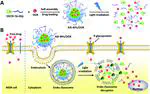 Light-responsive AIE nanoparticles with cytosolic drug release to overcome drug resistance in cancer cells