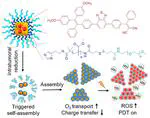 Tumor-Activated and Metal-Organic Framework Assisted Self-Assembly of Organic Photosensitizers