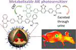 Metabolizable Photosensitizer with Aggregation-Induced Emission for Photodynamic Therapy