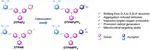 Cationization to boost both type I and type II ROS generation for photodynamic therapy
