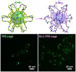 Enhanced Biological Imaging via Aggregation-Induced Emission Active Porous Organic Cages