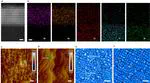 Molecularly specific detection towards trace nitrogen dioxide by utilizing Schottky-junction-based Gas Sensor